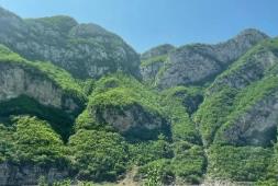 河南印發(fā)首個(gè)生物多樣性保護(hù)專項(xiàng)規(guī)劃