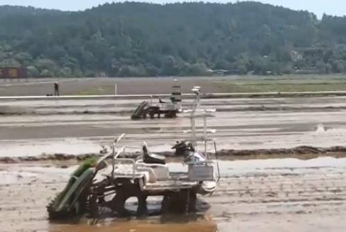 農(nóng)業(yè)生產(chǎn)向“智”向“新” “太空紫云英”化為春泥助春耕