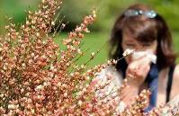 花粉過敏高發(fā) 專家提示有效防護(hù)攻略