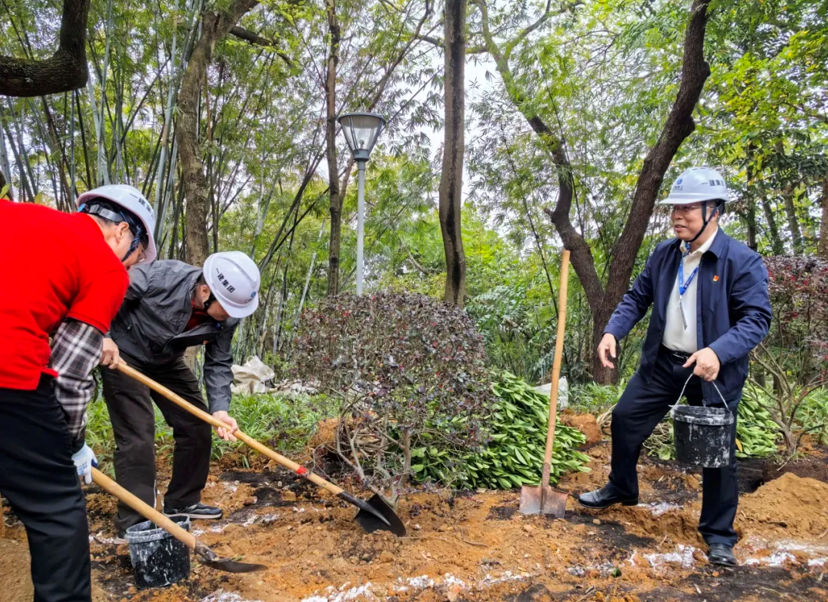 20250328163131451.png 20250328163131451.png