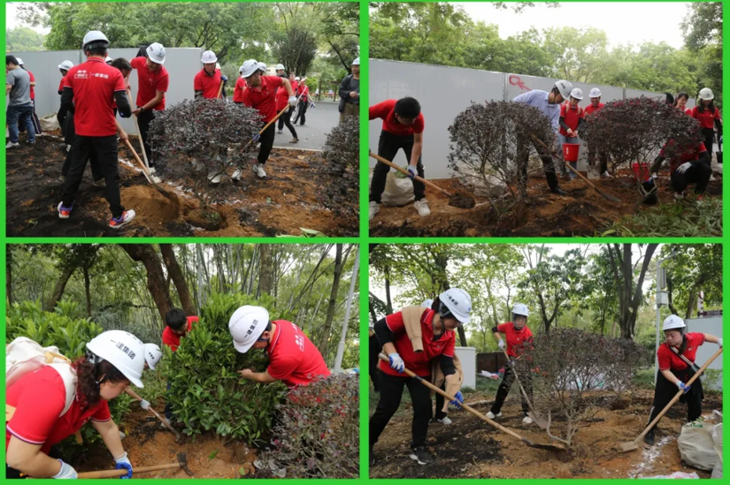 20250328163232431.png 20250328163232431.png