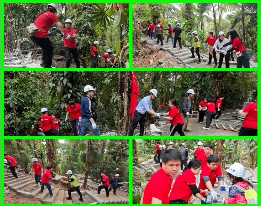 20250328163258474.png 20250328163258474.png