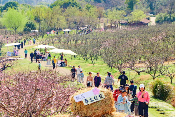 國潮風(fēng)勁吹 春日文旅向“新”而行