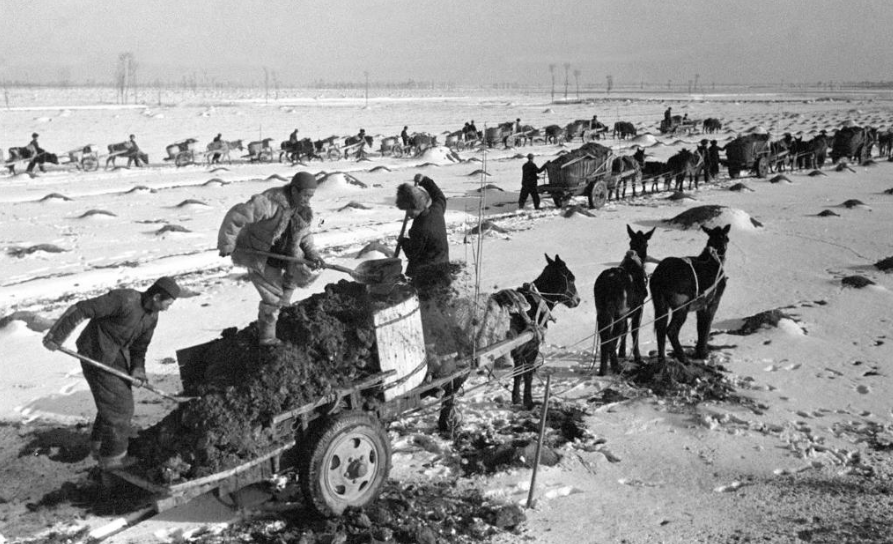 20250330192720158.png 20250330192720158.png