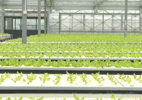 各地因苗因地施策 “科技+農(nóng)業(yè)”的多彩春耕圖正加速鋪展