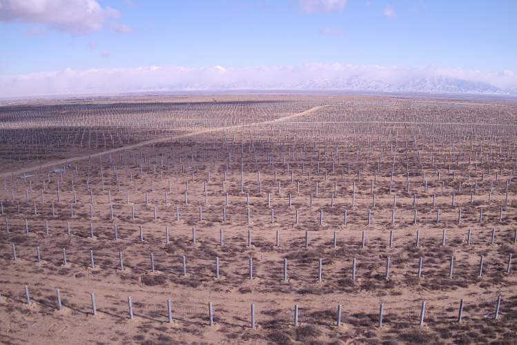 中國(guó)節(jié)能光伏治沙項(xiàng)目全面開(kāi)工 助力三北工程攻堅(jiān)戰(zhàn)