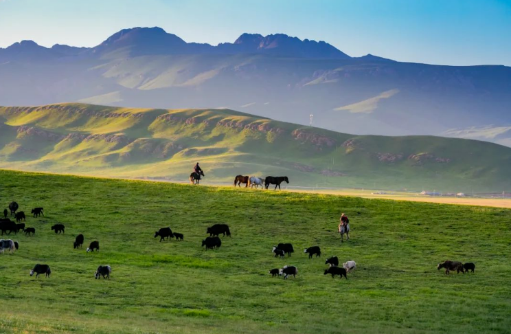 中國移動搭建起橫跨1655公里的“數(shù)字絲綢之路”