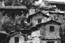 文旅部推出32條“花期鄉(xiāng)遇”主題鄉(xiāng)村旅游精品線路 山西唯一入選線路在陽(yáng)泉