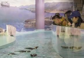 哈爾濱“春日經(jīng)濟”熱度“續(xù)航” 清明小長假223．4萬人次打卡