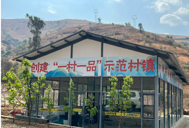 協(xié)作共繪振興圖——云南大理區(qū)域協(xié)作幫扶一線見聞