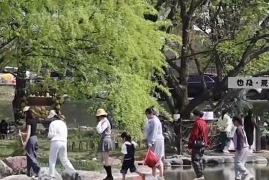 “云端瞰花”、夜櫻觀賞、戶外露營……消費場景融合煥新 旅游市場平穩(wěn)有序