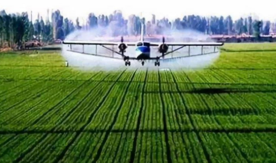 分階段科學(xué)謀劃推進(jìn)農(nóng)業(yè)強(qiáng)國建設(shè)