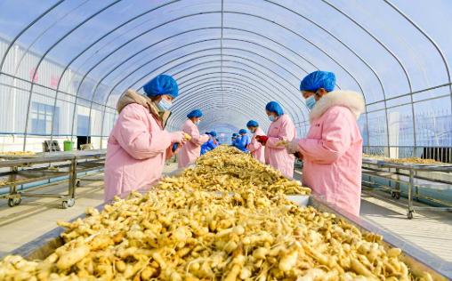 河南多維度賦能 中醫(yī)藥事業(yè)和產(chǎn)業(yè)高質(zhì)量發(fā)展