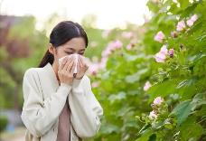 花粉季過敏多發(fā) 抗過敏用藥需求持續(xù)走高