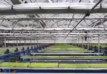 “電梯”育秧、智能噴灌……智慧農(nóng)業(yè)繪就春耕新圖景 科技“護(hù)航”保豐收