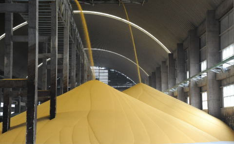 守好“責(zé)任田”！貴州磷化集團(tuán)筑牢糧食安全戰(zhàn)略根基