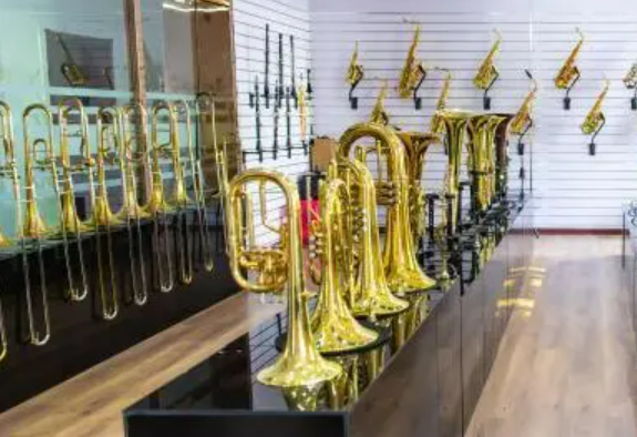 天津市靜海區(qū)蔡公莊鎮(zhèn)：中國(guó)小鎮(zhèn)奏響薩克斯“世界之音”