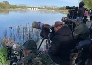 生態(tài)旅游正當(dāng)時 讀懂“打鳥熱”背后的多重期待