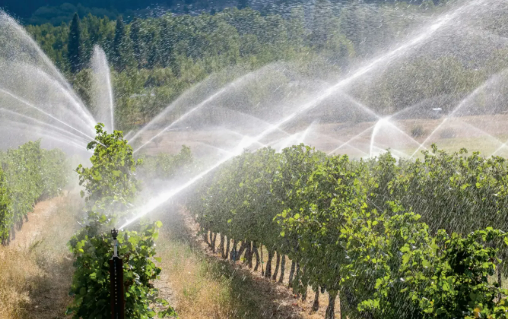 水肥一體化有力支撐提單產(chǎn) 今年應(yīng)用面積將達(dá)1.8億畝