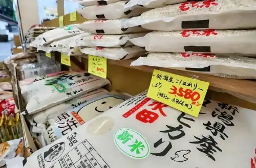 日本2024財年企業(yè)物價指數(shù)創(chuàng)1980財年以來最高