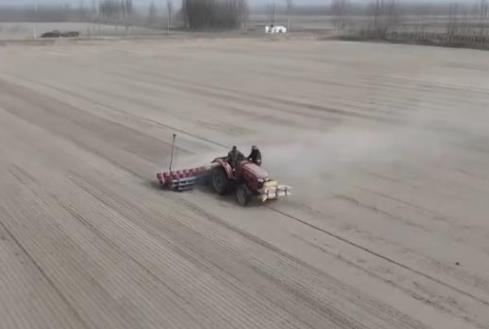 沙漠里種水稻？揭秘塔克拉瑪干邊緣4000畝綠色奇跡