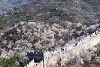 一季度“入境游”“跨境游”成績亮眼 免簽政策紅利充分釋放