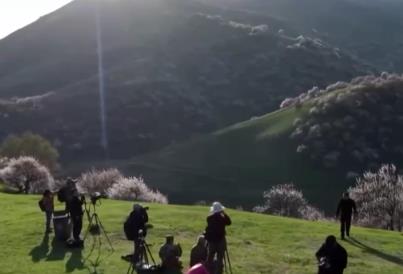 “賞花經(jīng)濟(jì)”持續(xù)釋放消費潛力 繪就“花開中國”的繁榮圖景