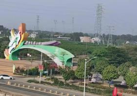 中國茉莉花之鄉(xiāng)鮮花供不應(yīng)求：新式茶飲風(fēng)行，吸引更多年輕人消費(fèi)