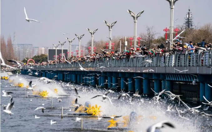 “打卡式”旅游轉型深度體驗度假，旅居云南，共赴山水之約
