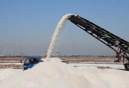 3月份我國原鹽市場偏弱調整