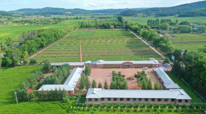 龍江森工集團(tuán)多維度提升生態(tài)“專業(yè)化”水平 維護(hù)國(guó)家生態(tài)安全