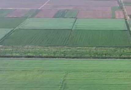 全力推進農業(yè)現代化：“小田變大田” 帶動村民增收致富