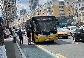 黑龍江發(fā)布新能源城市公交車(chē)及動(dòng)力電池更新工作實(shí)施細(xì)則
