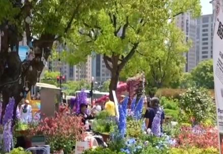 以花為媒、以科創(chuàng)為引擎 城市空間消費新業(yè)態(tài)上“新”引領文化新風尚