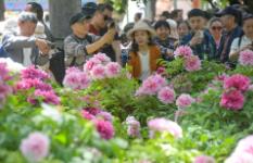 “鮮花+”引領消費新風尚