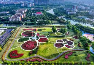 “花木之鄉(xiāng)”沭陽，一場持續(xù)五年的“誠信實驗”