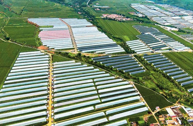 執(zhí)“實干筆”繪“實景圖” 推進鄉(xiāng)村全面振興國家能源集團彰顯央企擔當