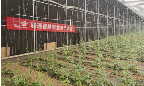 充實農(nóng)業(yè)“含綠量”提升環(huán)保“含金量” 中國聯(lián)通奏響綠色發(fā)展“春之曲”