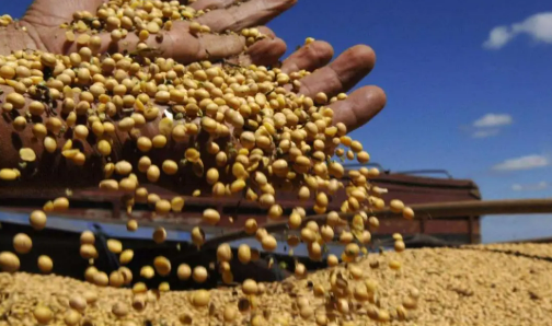 糧食進(jìn)口下降釋放什么信號(hào)