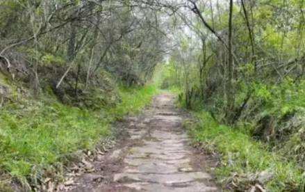 蜀道考古調查階段性成果發(fā)布 新發(fā)現(xiàn)文物遺存297處