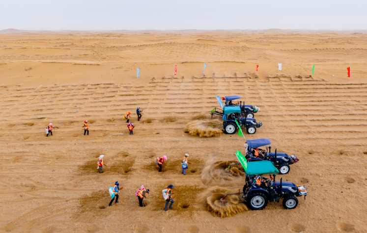 中鐵四局：為140多萬畝荒漠縫制“綠風衣”