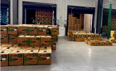 云南能投物流打造中國-東盟鮮果“快車道”