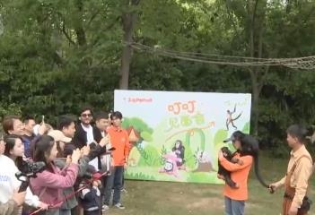 景區(qū)多元特色主題活動(dòng)賦能 “五一”假期文旅消費(fèi)煥新彩