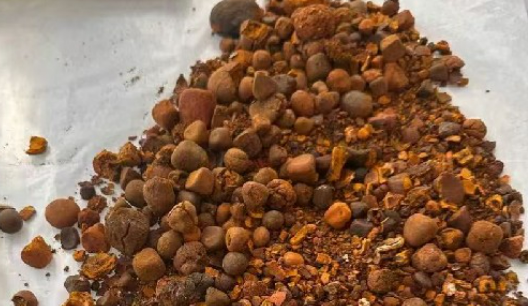 進(jìn)口牛黃再“開閘” 牛黃原料“緊缺枷鎖”能否打開？