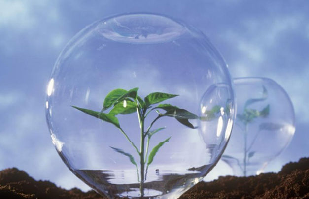 新修訂《中華人民共和國植物新品種保護條例》2025年6月1日起施行