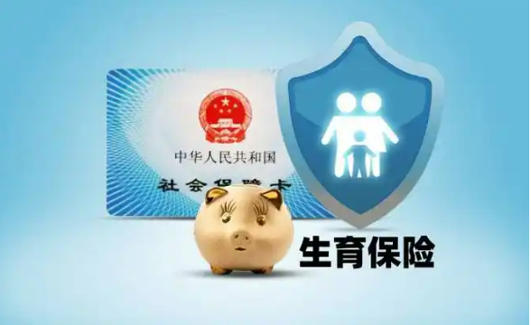 國(guó)家醫(yī)保局：你想知道的生育保險(xiǎn)政策都在這里