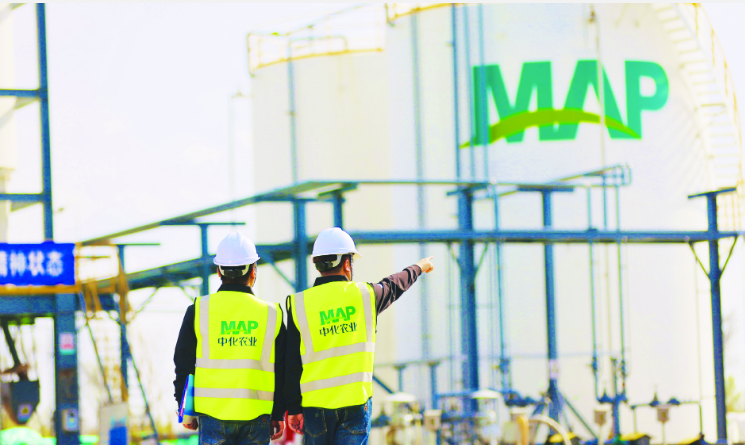 中國中化科技助力糧食單產(chǎn)提升