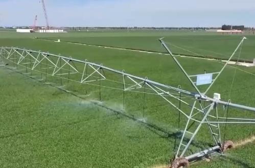 AI大模型助力糧食生產(chǎn) 我國(guó)夏糧進(jìn)入產(chǎn)量形成關(guān)鍵期