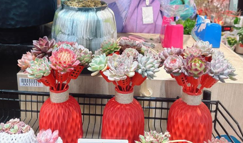 “鮮花+”帶來(lái)新業(yè)態(tài)消費(fèi)市場(chǎng)繁花似錦