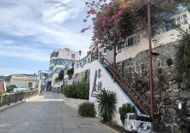 從田園到網(wǎng)紅，廣東鄉(xiāng)村逆襲記